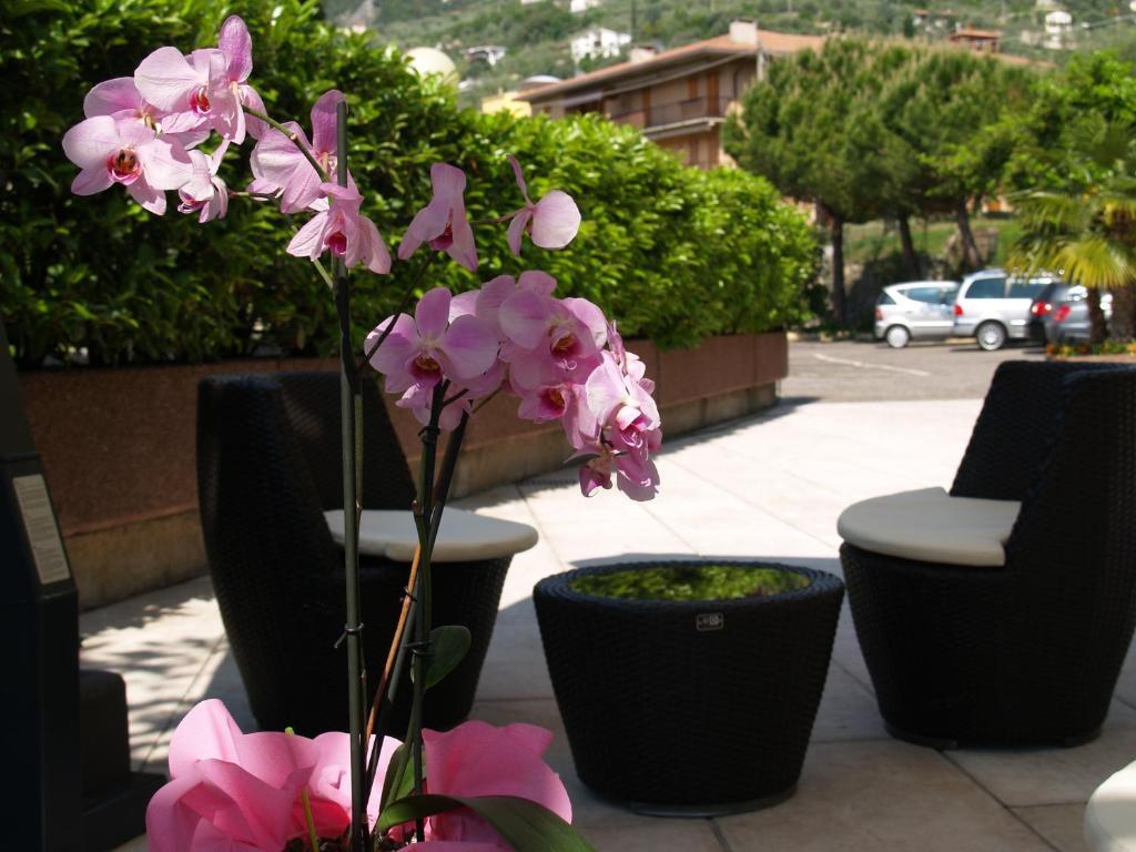 Casa Serena 2*