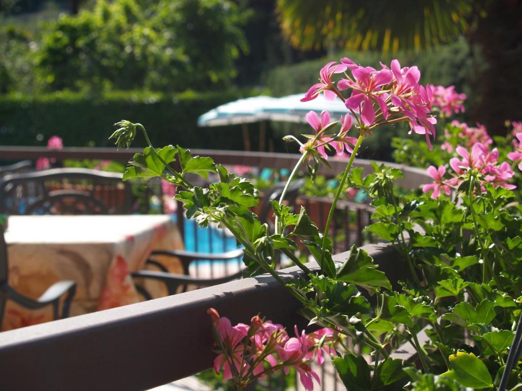 Casa Serena Hotel Malcesine